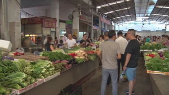 南部重拳出擊 嚴查食品藥品商家，15起食用農(nóng)產(chǎn)品批發(fā)案件移交公安機關